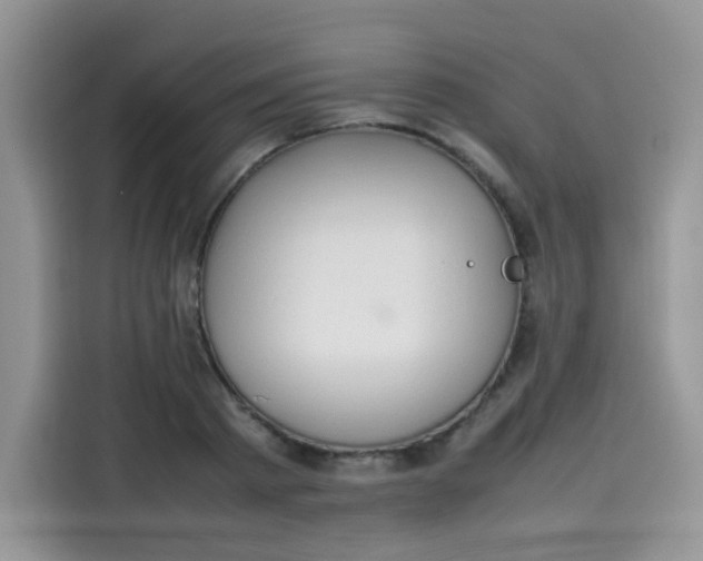 X0000113780793200910141037