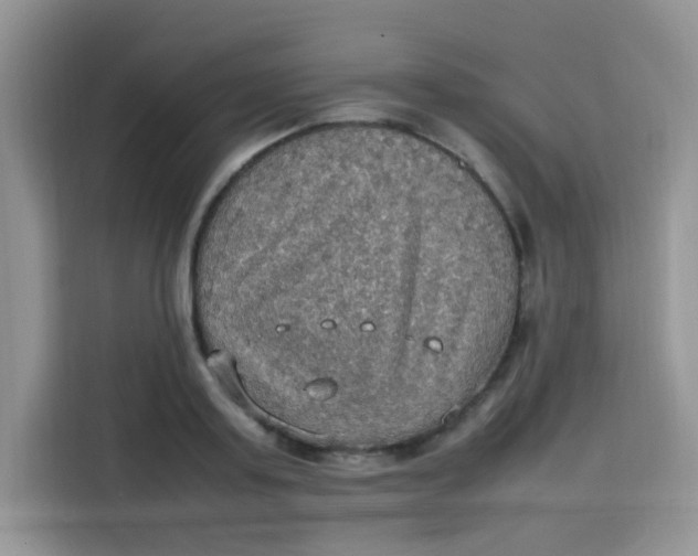 X0000113780795200910141037