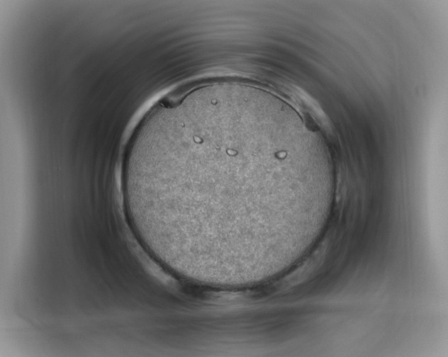 X0000113780796200910141037