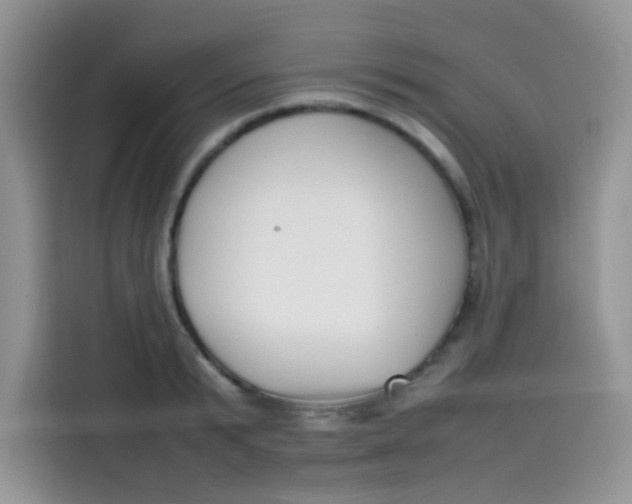 X0000113780799200910141037