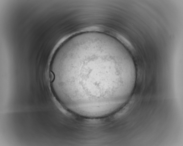 X0000113780800200910141037