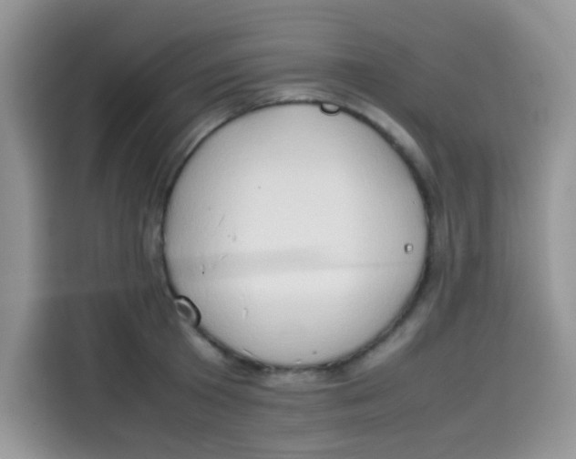 X0000113780801200910141037