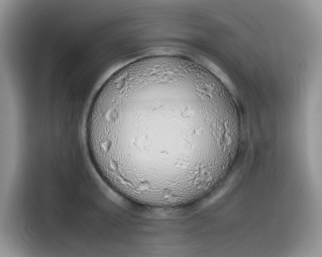 X0000113780803200910141037