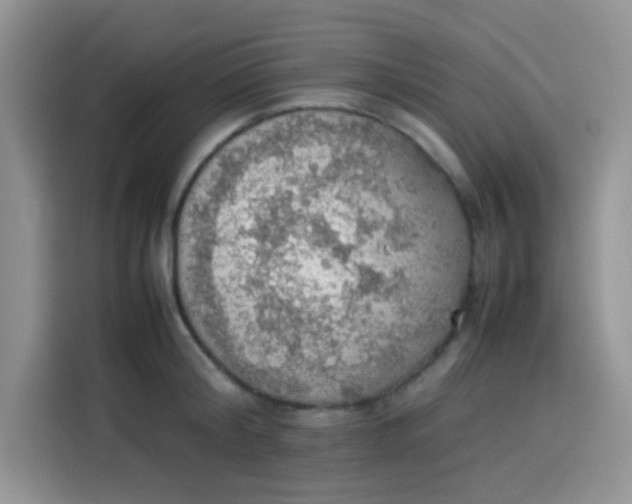 X0000113780804200910141037