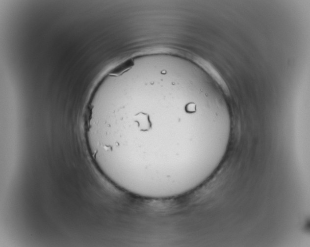 X0000113780805200910141037