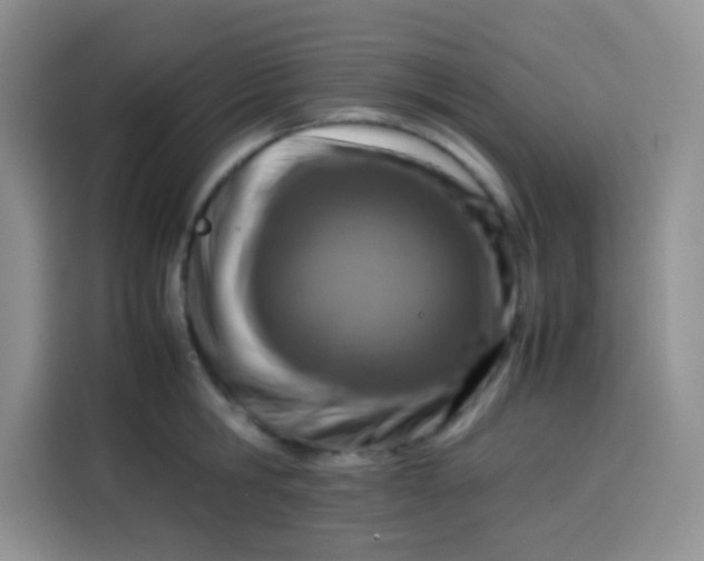 X0000113780806200910141037