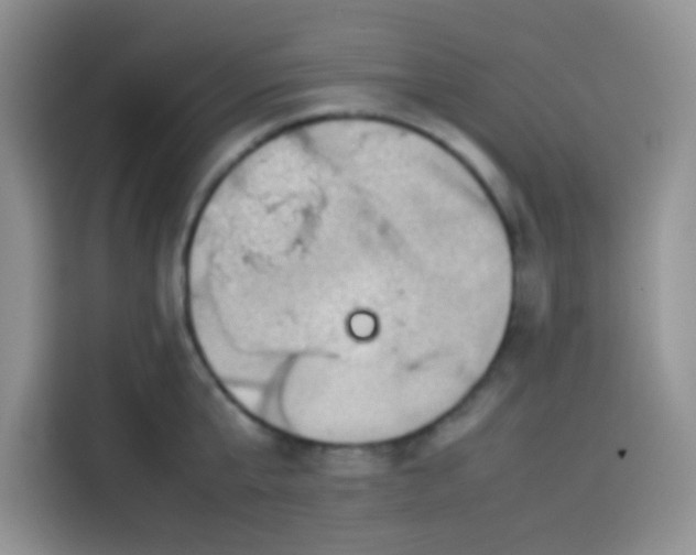 X0000113780807200910141037