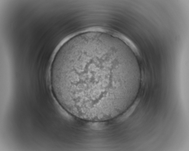 X0000113780808200910141037