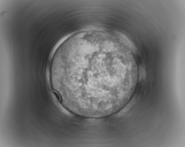 X0000113780812200910141037