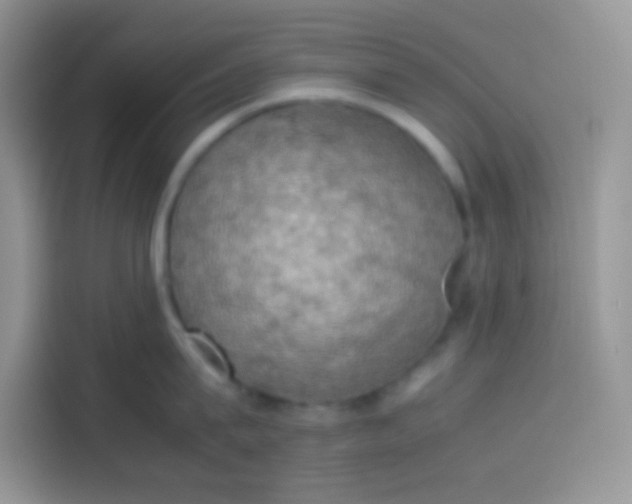 X0000113780815200910141037