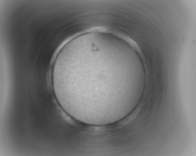 X0000113780816200910141037