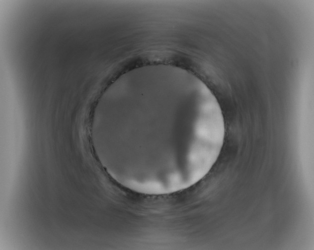 X0000113780817200910141036