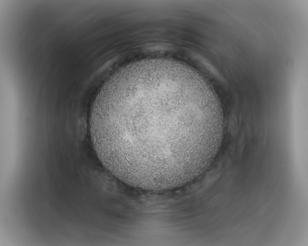 X0000113780821200910141036