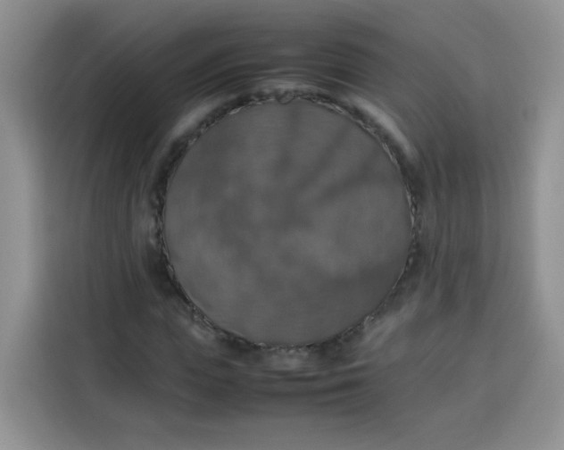 X0000113780823200910141036