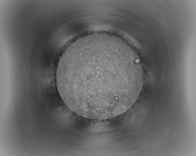 X0000113780824200910141036