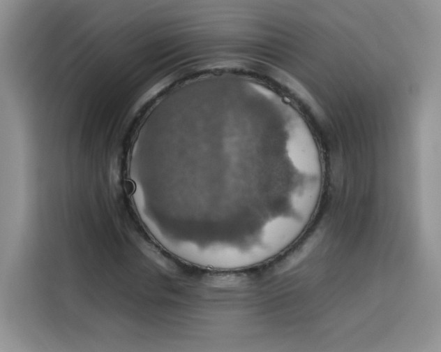 X0000113780826200910141036