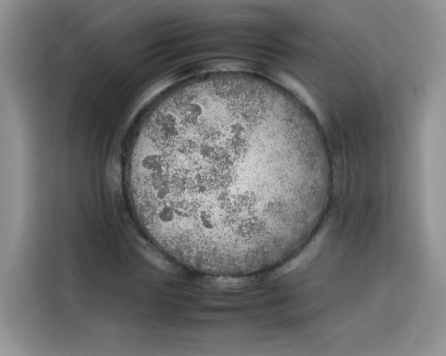 X0000113780827200910141036