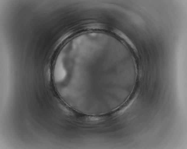 X0000113780829200910141036