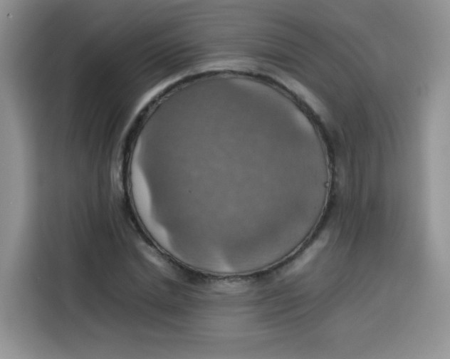 X0000113780830200910141036