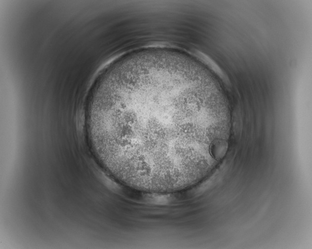 X0000113780831200910141036