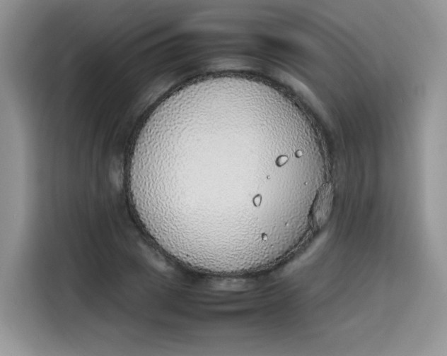 X0000113780833200910141037