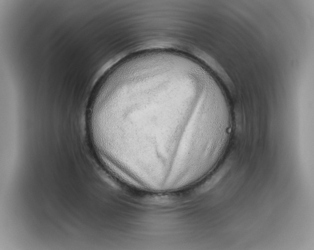 X0000113780834200910141037