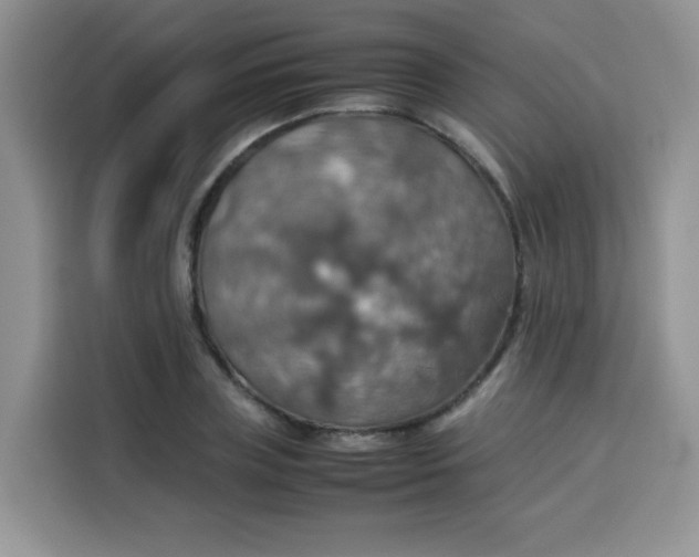 X0000113780835200910141037