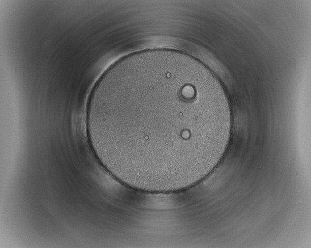 X0000113780836200910141037