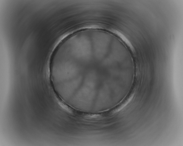 X0000113780837200910141037