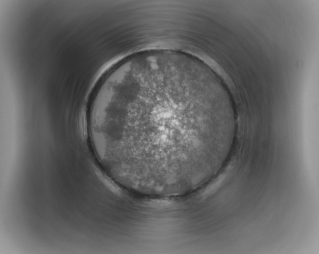 X0000113780838200910141037