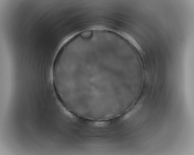 X0000113780839200910141037