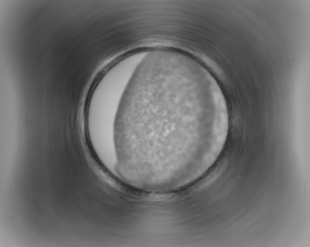 X0000113780840200910141037