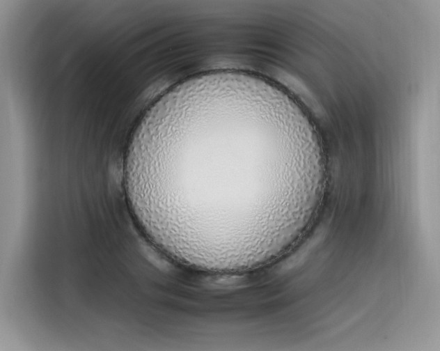 X0000113780841200910141037