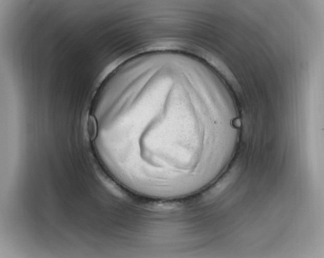 X0000113780842200910141037