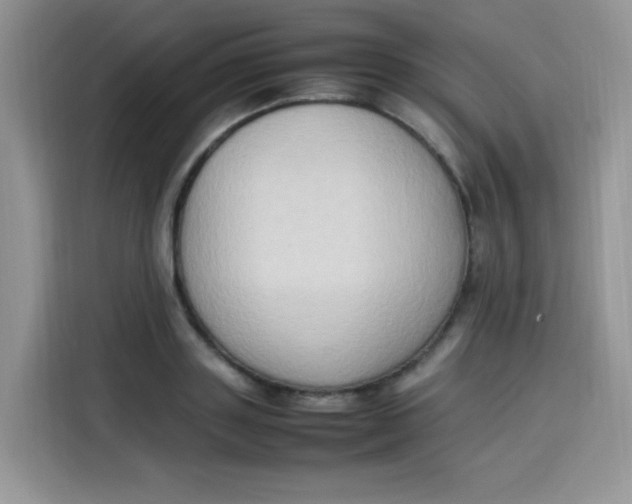 X0000113780843200910141037