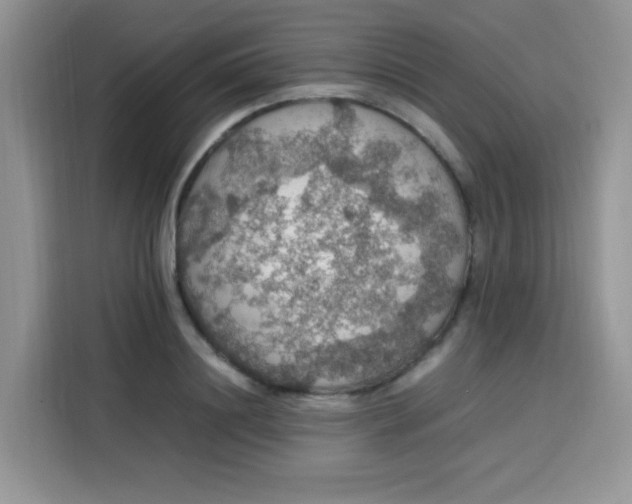 X0000113780844200910141037