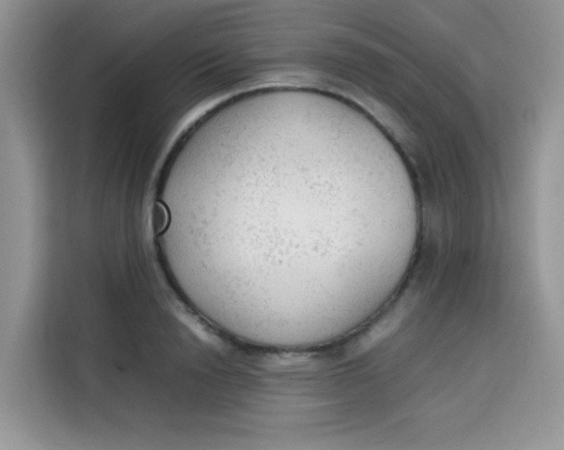 X0000113780846200910141037