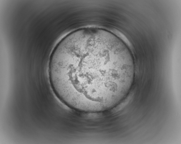 X0000113780847200910141037