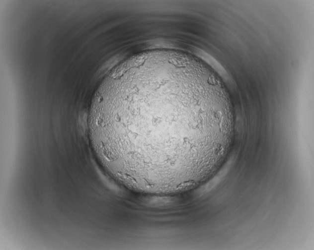 X0000113780849200910141037