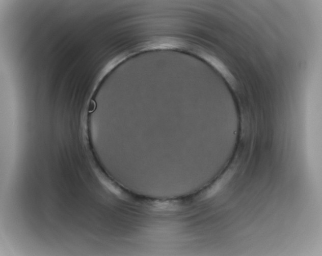 X0000113780850200910141037