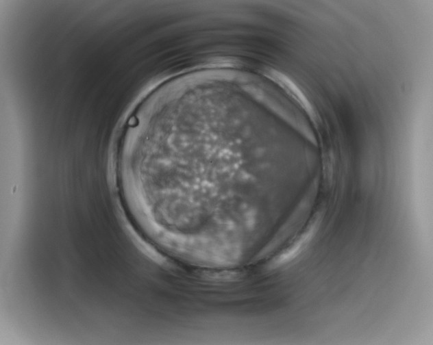 X0000113780851200910141037