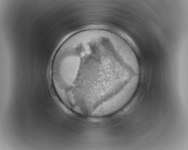 X0000113780852200910141037