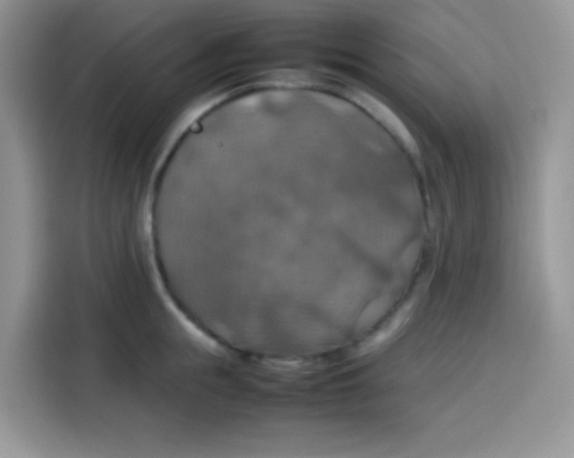 X0000113780855200910141037