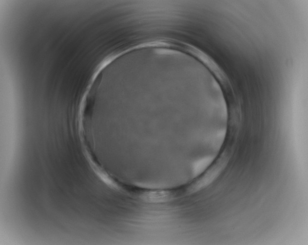 X0000113780858200910141037