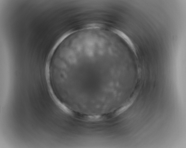 X0000113780859200910141037