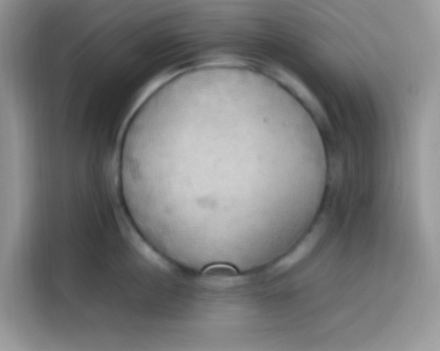 X0000113780860200910141037