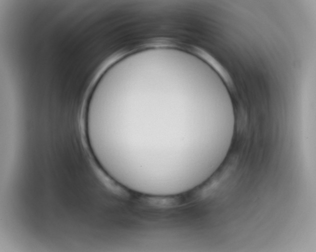 X0000113780861200910141037