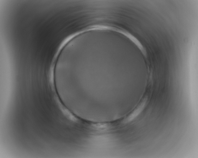 X0000113780862200910141037