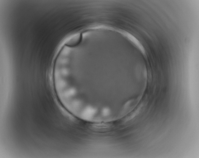 X0000113780863200910141037