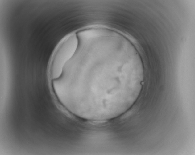 X0000113780864200910141037